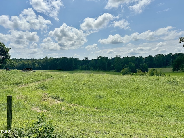LOT4 Jones Rd, Hurdle Mills, NC 27541 - photo 7