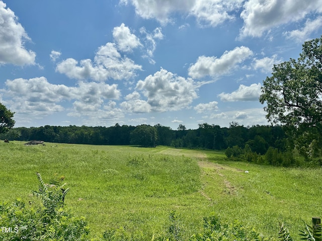 LOT4 Jones Rd, Hurdle Mills, NC 27541 - photo 8