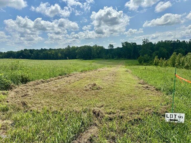 LOT4 Jones Rd, Hurdle Mills, NC 27541 - photo 6