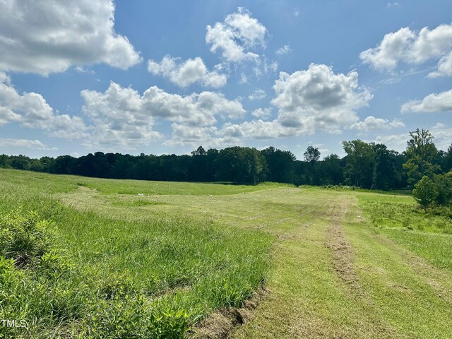 LOT4 Jones Rd, Hurdle Mills, NC 27541 - photo 9
