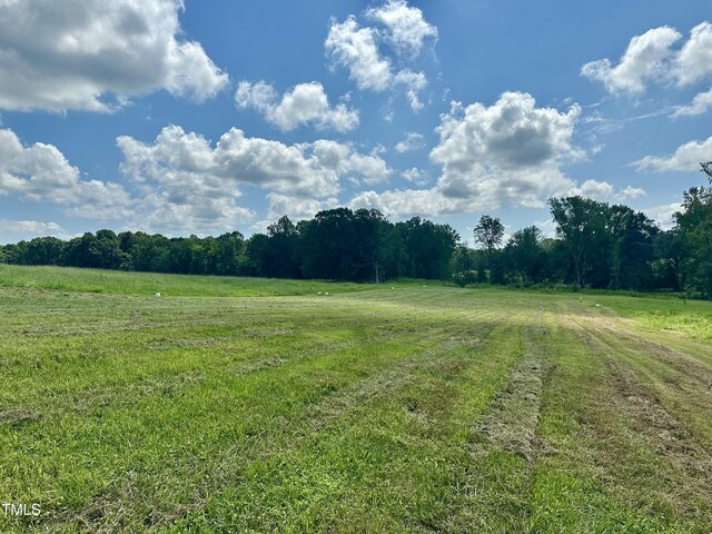 LOT4 Jones Rd, Hurdle Mills, NC 27541 - photo 10