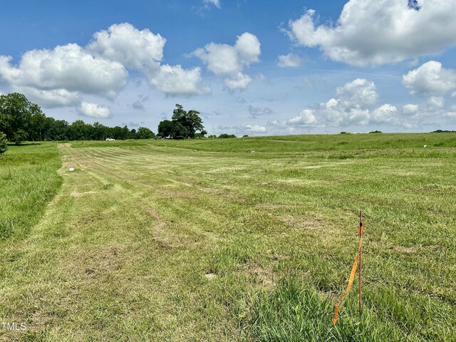 LOT4 Jones Rd, Hurdle Mills, NC 27541 - photo 11