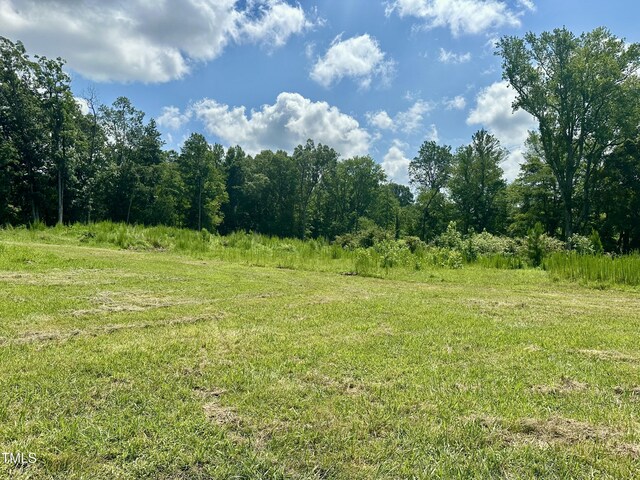 LOT4 Jones Rd, Hurdle Mills, NC 27541 - photo 12
