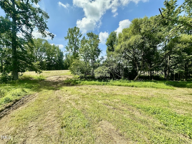 LOT4 Jones Rd, Hurdle Mills, NC 27541 - photo 13