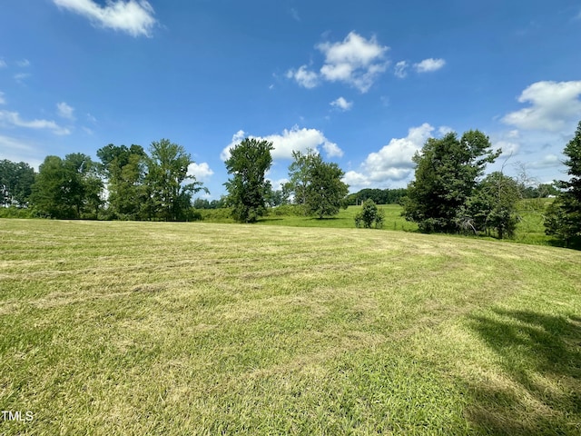 LOT4 Jones Rd, Hurdle Mills, NC 27541 - photo 1
