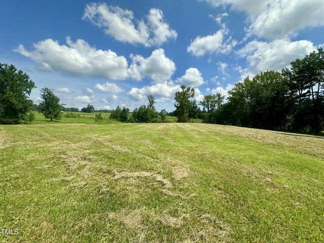 LOT4 Jones Rd, Hurdle Mills, NC 27541 - photo 15