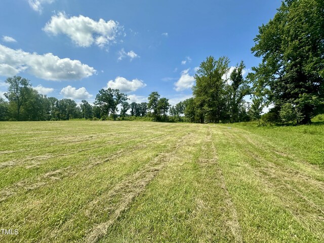 LOT4 Jones Rd, Hurdle Mills, NC 27541 - photo 4