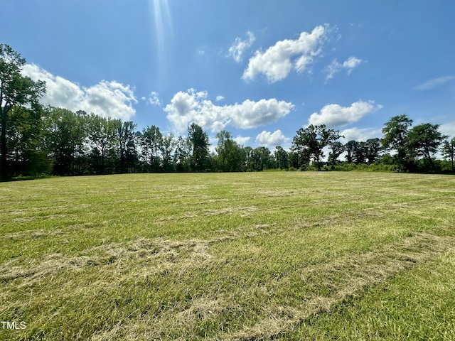 LOT4 Jones Rd, Hurdle Mills, NC 27541 - photo 3