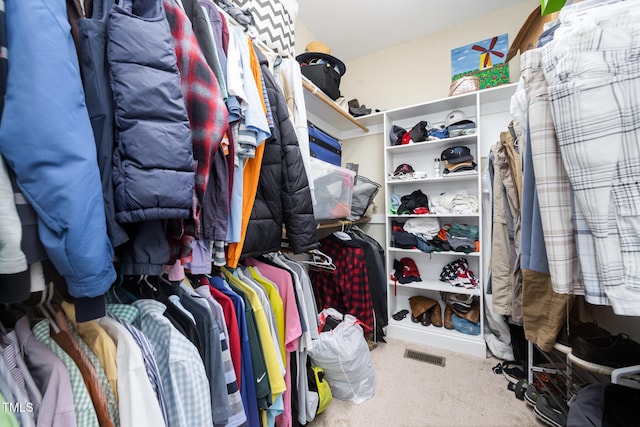 141 Vibernum Vw, Four Oaks, NC 27524 - walk in closet featuring carpet flooring