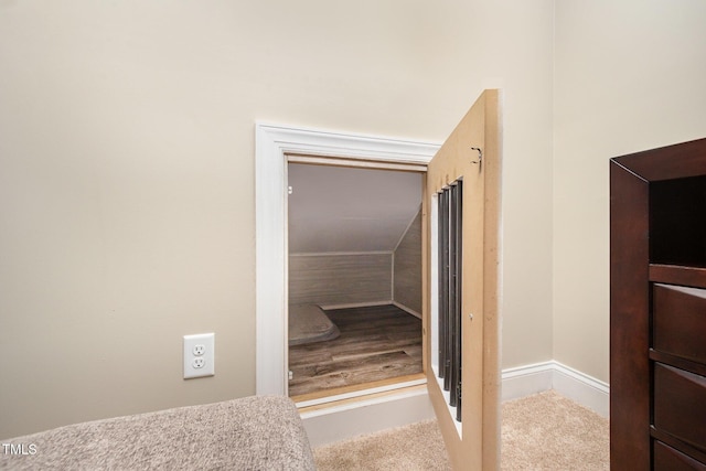 141 Vibernum Vw, Four Oaks, NC 27524 - bathroom with baseboards