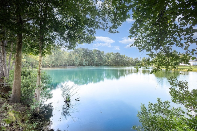 141 Vibernum Vw, Four Oaks, NC 27524 - water view