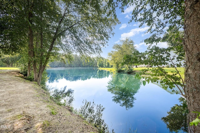141 Vibernum Vw, Four Oaks, NC 27524 - water view