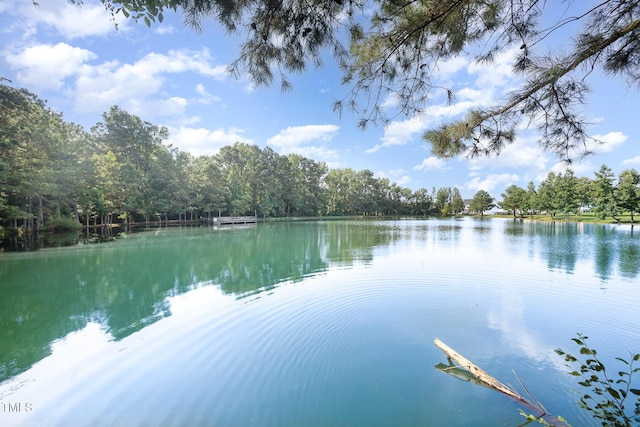 141 Vibernum Vw, Four Oaks, NC 27524 - water view