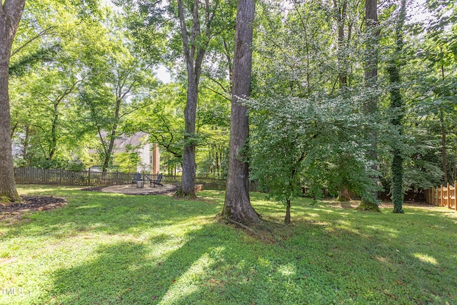 7708 Highlandview Cir, Raleigh, NC 27613 - photo 56