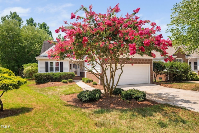 316 Boltstone Ct, Cary, NC 27513 - view of property hidden behind natural elements featuring concrete driveway, brick siding, a front lawn, and an attached garage