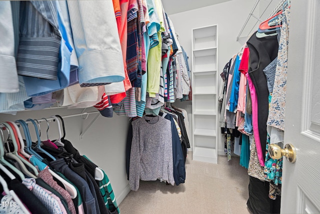 316 Boltstone Ct, Cary, NC 27513 - view of spacious closet