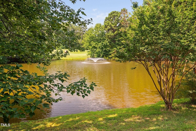 316 Boltstone Ct, Cary, NC 27513 - water view