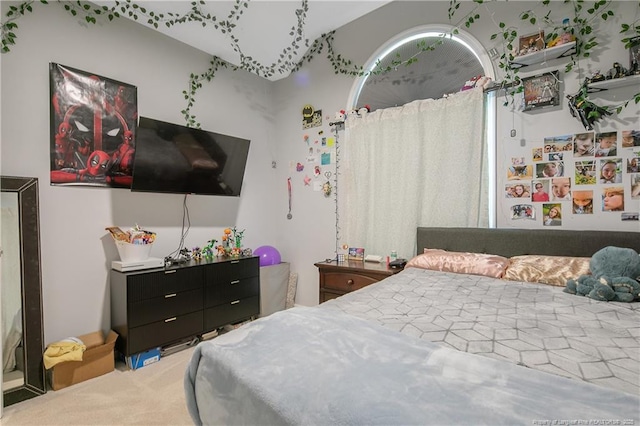 7655 Lucinda Ln, Linden, NC 28356 - view of carpeted bedroom