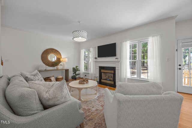 513 Moultonboro Ave, Wake Forest, NC 27587 - living room featuring a fireplace with flush hearth and light wood-style floors