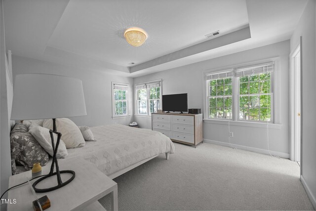 513 Moultonboro Ave, Wake Forest, NC 27587 - carpeted bedroom with a tray ceiling and baseboards