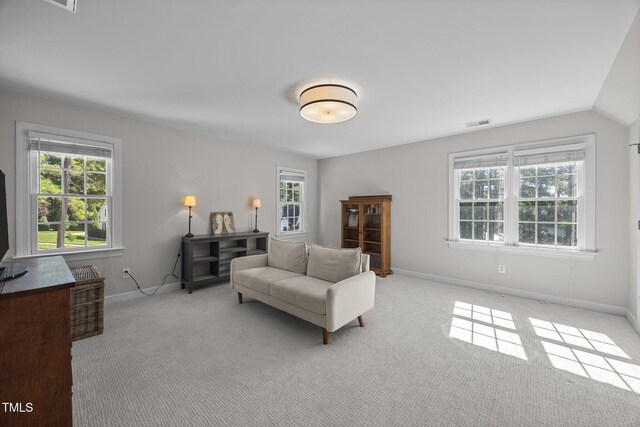 513 Moultonboro Ave, Wake Forest, NC 27587 - living area with light colored carpet and vaulted ceiling