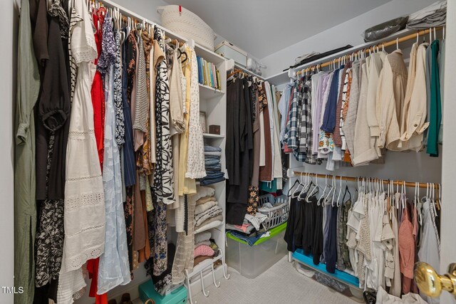 513 Moultonboro Ave, Wake Forest, NC 27587 - view of spacious closet