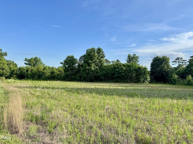 3371 Baileys Crossroads Rd, Benson, NC 27504 - photo 8