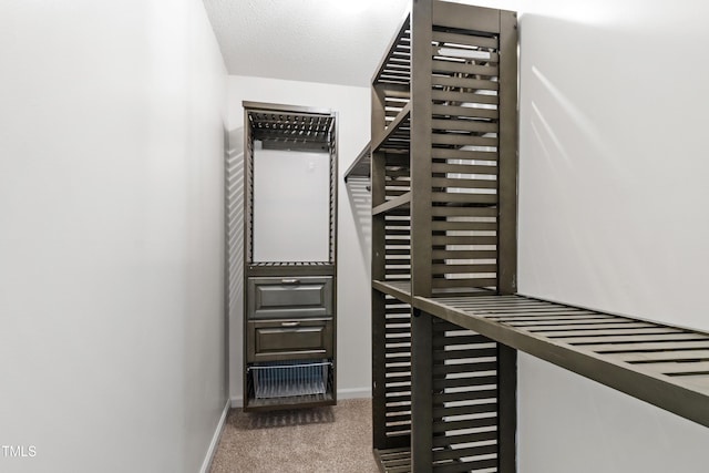 115 Inverness Ct, Cary, NC 27511 - photo 27