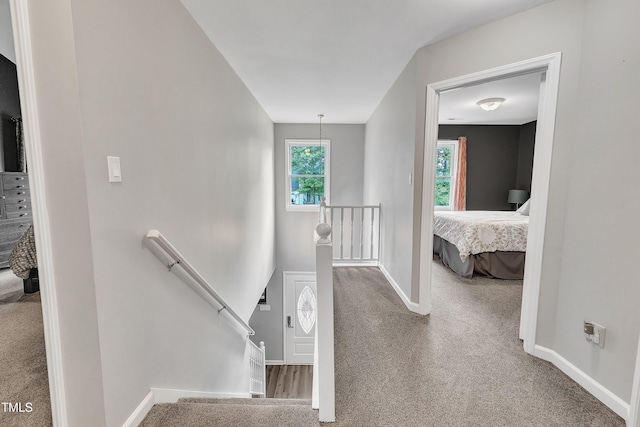 350 Amherst Creek Dr, Wake Forest, NC 27587 - stairway with carpet floors