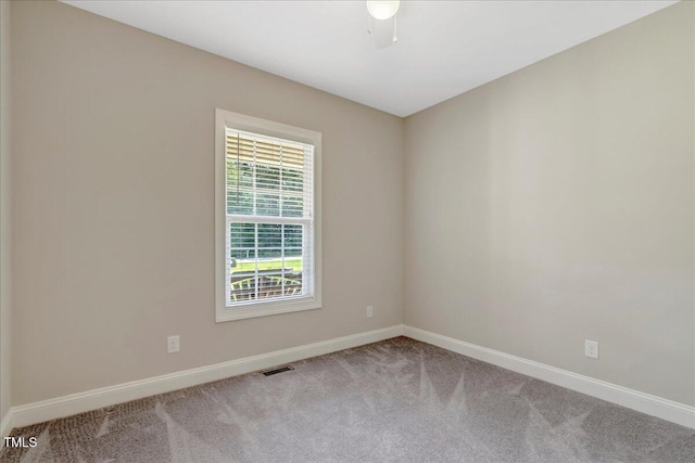 195 Tom Wright Rd, Franklinton, NC 27525 - photo 28