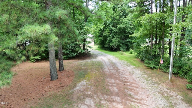 205 N Raleigh Farms Rd, Youngsville, NC 27596 - view of dirt / gravel road