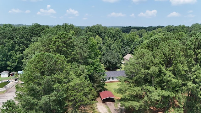 205 N Raleigh Farms Rd, Youngsville, NC 27596 - aerial view of property's location with a forest