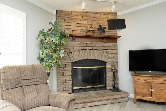 205 N Raleigh Farms Rd, Youngsville, NC 27596 - living room featuring crown molding, wood finished floors, track lighting, and a large fireplace
