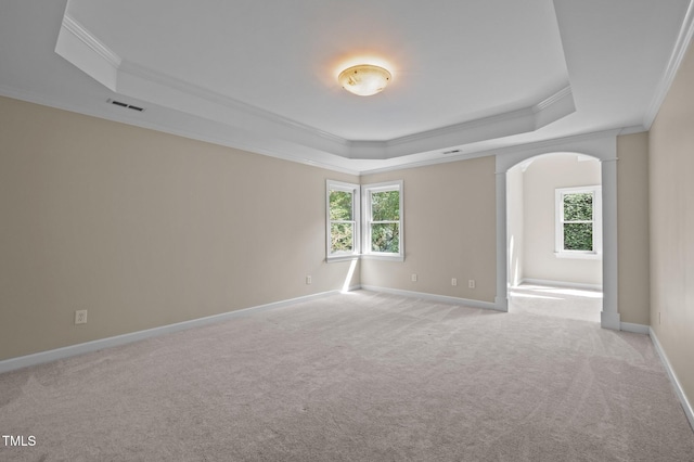 202 Bridewell Ct, Cary, NC 27518 - empty room with crown molding, a raised ceiling, light colored carpet, and healthy amount of natural light