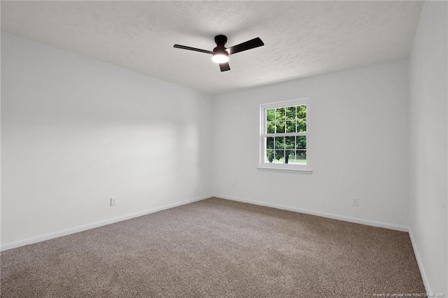 6541 Green Meadow Rd, Fayetteville, NC 28304 - photo 18