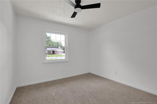 6541 Green Meadow Rd, Fayetteville, NC 28304 - photo 16