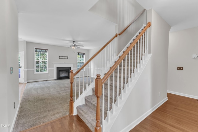 3905 Song Sparrow Dr, Wake Forest, NC 27587 - stairway with ceiling fan, a fireplace with flush hearth, and wood finished floors