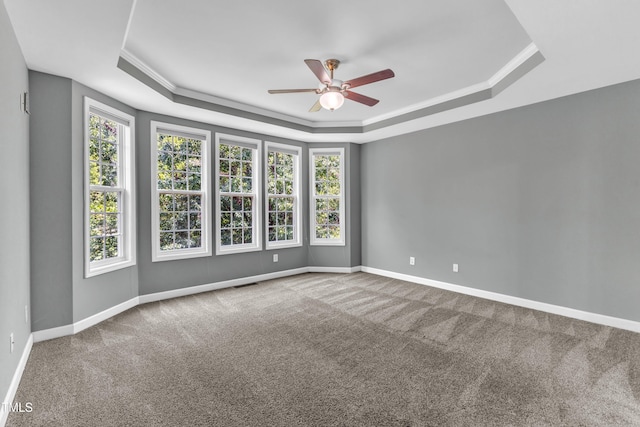 3905 Song Sparrow Dr, Wake Forest, NC 27587 - carpeted empty room featuring a tray ceiling and a ceiling fan