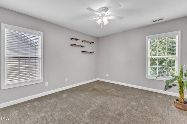 3905 Song Sparrow Dr, Wake Forest, NC 27587 - spare room featuring healthy amount of natural light, a ceiling fan, and dark colored carpet