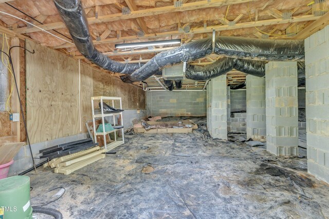3905 Song Sparrow Dr, Wake Forest, NC 27587 - basement with concrete block wall