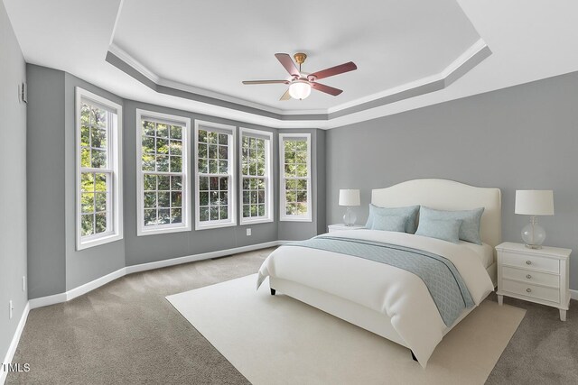 3905 Song Sparrow Dr, Wake Forest, NC 27587 - bedroom featuring a raised ceiling, carpet, and ceiling fan