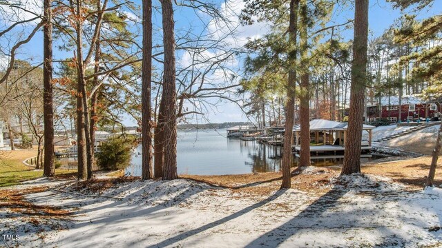 LOT6 Pineview Dr, Henrico, NC 27842 - photo 10
