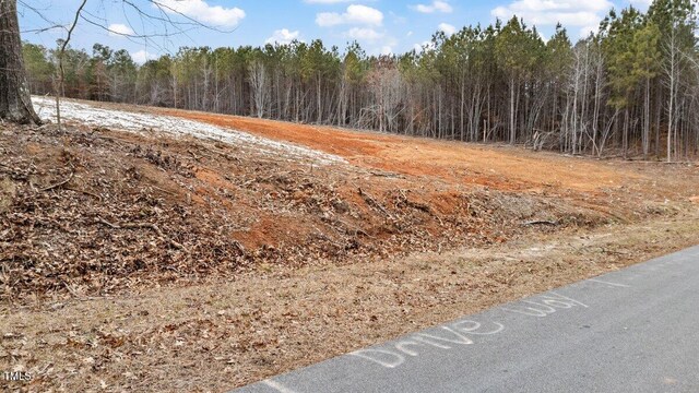 LOT6 Pineview Dr, Henrico, NC 27842 - photo 14