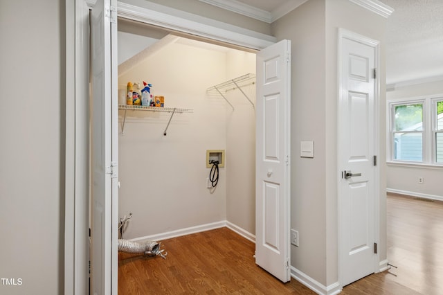 3405 E Jameson Rd, Raleigh, NC 27604 - laundry room with hookup for a washing machine, crown molding, and wood finished floors