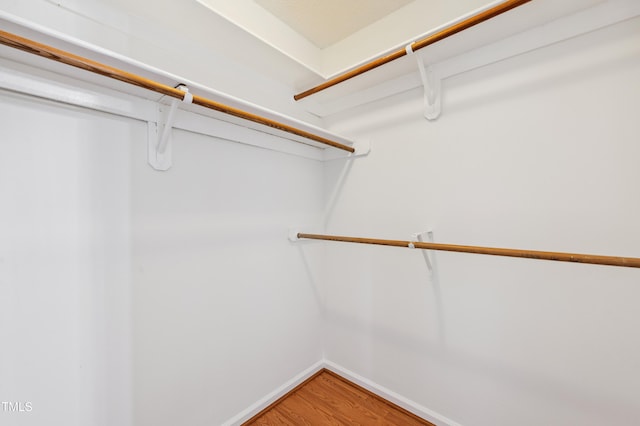 3405 E Jameson Rd, Raleigh, NC 27604 - walk in closet with light wood-style flooring