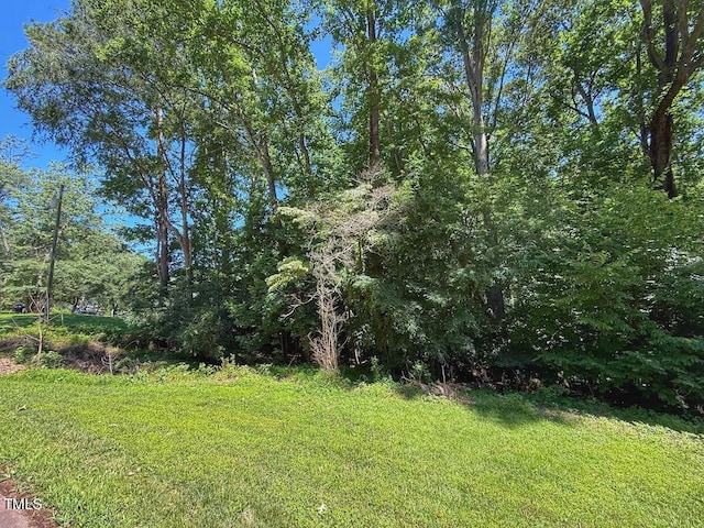 2216 Woodnell Dr, Raleigh, NC 27603 - photo 29