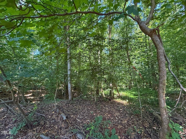2216 Woodnell Dr, Raleigh, NC 27603 - photo 30