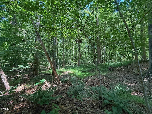2216 Woodnell Dr, Raleigh, NC 27603 - photo 31
