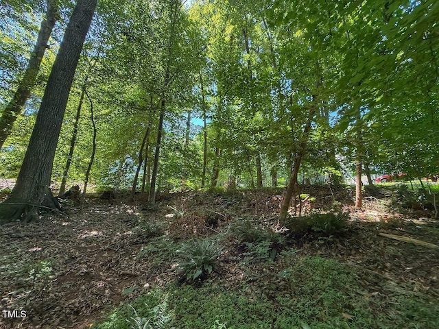 2216 Woodnell Dr, Raleigh, NC 27603 - photo 32