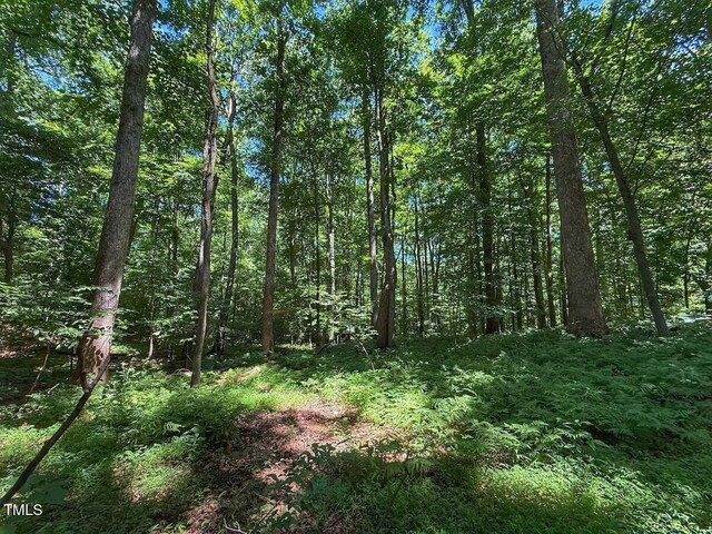 2216 Woodnell Dr, Raleigh, NC 27603 - photo 33